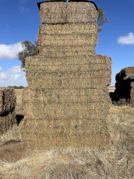 100 mt Vetch Hay 8x4x3 Bales