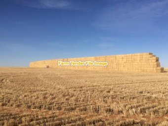 500 bales Barley Straw