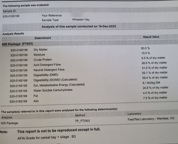 1200mt Wheaten Hay 625kg 8x4x3 Bales