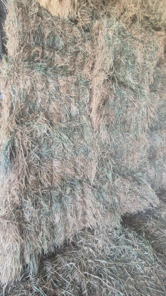 840mt Wheaten Hay 625kg 8x4x3 Bales