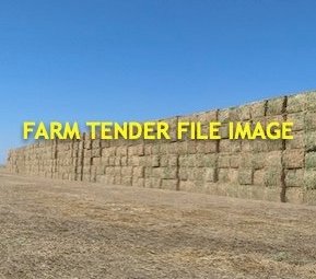 800 x Pasture Hay 8x4x3 Bales