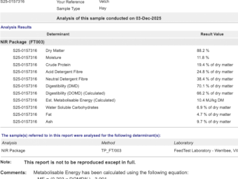 500 8x4x3 Bales 25/26 Season Vetch Hay