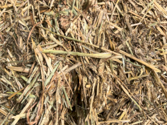 100mt Wheaten Hay 600kg 8x4x3 Bales