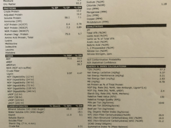 100mt Wheaten Hay 600kg 8x4x3 Bales