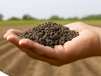 Guano - Ex Murarrie - **Save $50.00 + GST per tonne for the remainder of February**