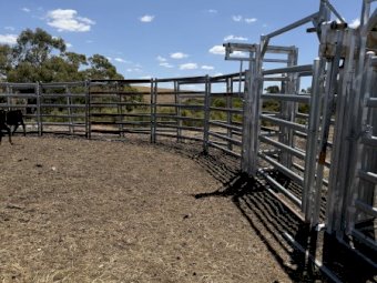 Cattle Yards