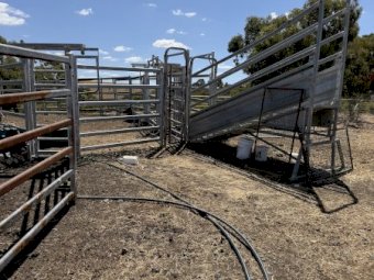 Cattle Yards