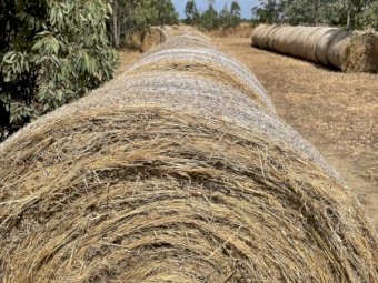 120 X Oaten Hay 5X4 Round Bales