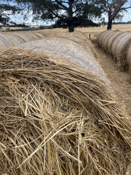 90 X Oaten And Grass Hay 5X4 Round Bales