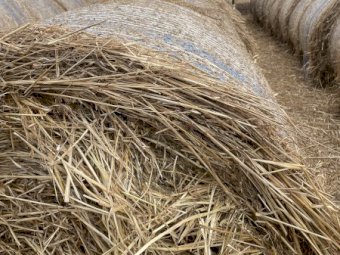 90 X Oaten And Grass Hay 5X4 Round Bales