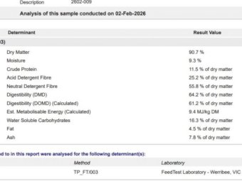 Wheaten Hay 8x4x3 Bales