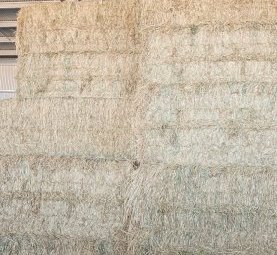 Wheaten Hay 8x4x3 Bales