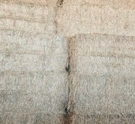 Wheaten Hay 8x4x3 Bales