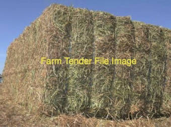 65MT Vetch Hay 8X4X3 Large Square Bales