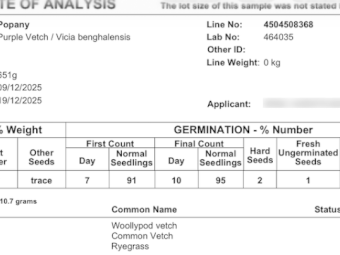 40mt Popany Vetch Seed