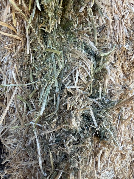 Vetch Hay 8x4x3 Bales