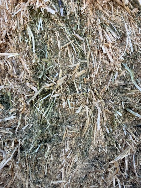Vetch Hay 8x4x3 Bales