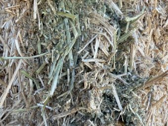 Vetch Hay 8x4x3 Bales