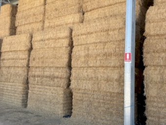 Vetch Hay 8x4x3 Bales