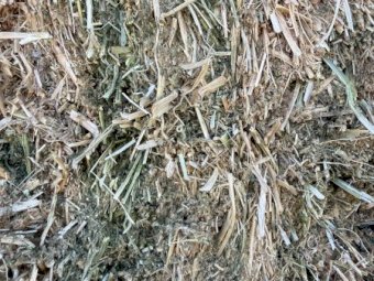 Vetch Hay 8x4x3 Bales