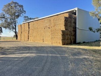 Oaten Hay