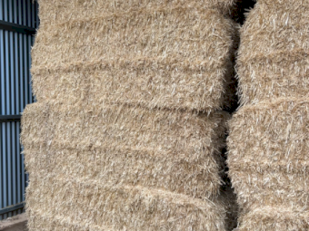 90mt Barley Straw 600-650kg 8x4x3 Bales