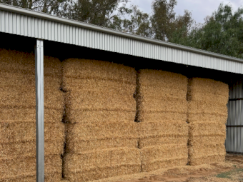 90mt Barley Straw 600-650kg 8x4x3 Bales