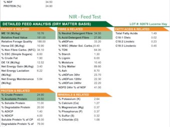 7000 x Lucerne Hay in Bale Barron packs of 21