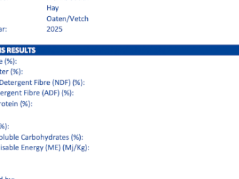 200mt Oaten Hay 600kg+ 8x4x3 Bales