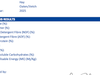 200mt Oaten Hay 600kg+ 8x4x3 Bales