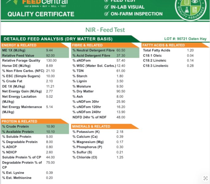 3000 Bales Oaten-Rye Mix Hay  Small Squares