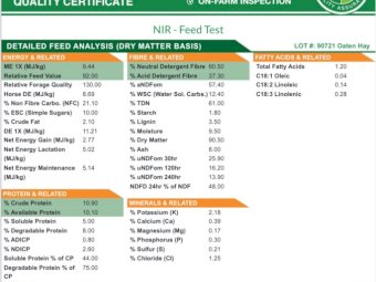 3000 Bales Oaten-Rye Mix Hay  Small Squares