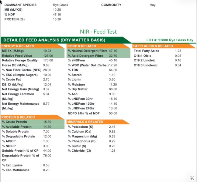 3000 Bales Lucerne-Rye Small square Bales