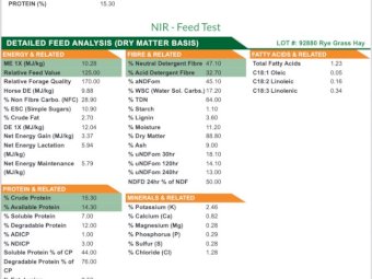 3000 Bales Lucerne-Rye Small square Bales
