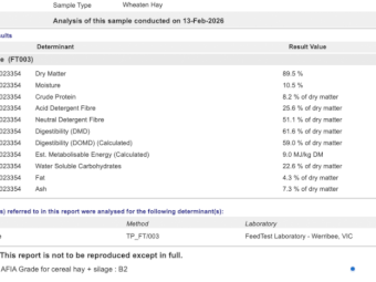 300mt Wheaten Hay 600kg 8x4x3 Bales
