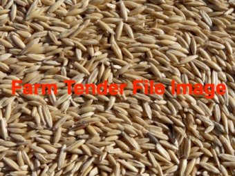 30mt KingBale Oats