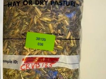 Vetch and Barley Hay 8x4x3 Bales