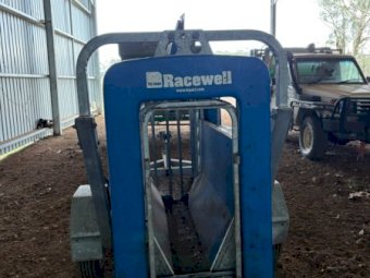 Tepari Racewell Portable Sheep Drafter