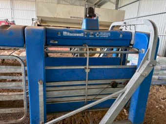 Tepari Racewell Portable Sheep Drafter