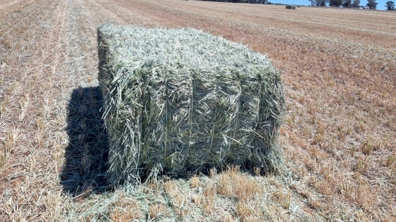 80m/t Wheaten Hay 8x4x3 Bales