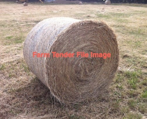 100 x Sub Clover Tops Round Bales