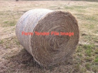 100 x Sub Clover Tops Round Bales