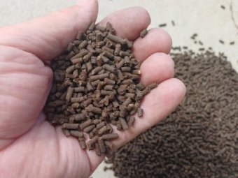 Composted Pelletised Chicken Manure