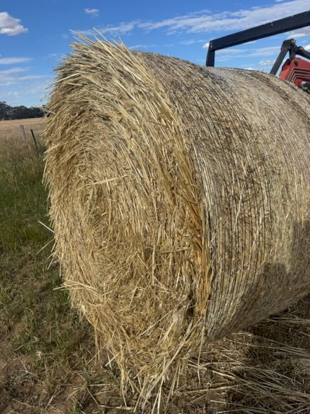 130 X Oaten Hay 5X4 Round Bales