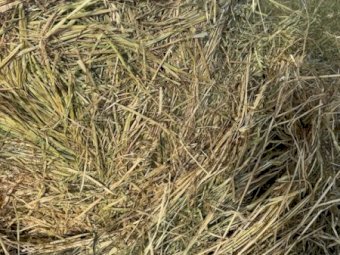 130 X Oaten Hay 5X4 Round Bales