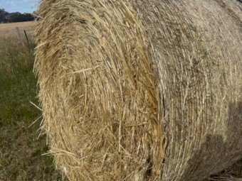 130 X Oaten Hay 5X4 Round Bales
