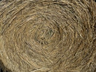 130 X Oaten Hay 5X4 Round Bales