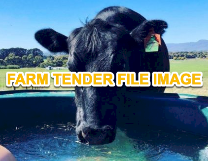 WANTED Water Troughs for Cattle Yards