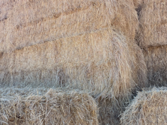 200mt Rye Grass Hay 500kg 8x4x3 Bales