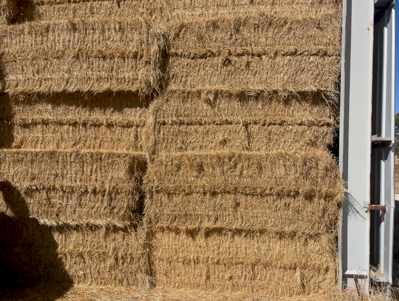 200mt Lucerne and Rye Hay 600kg 8x4x3 Bales